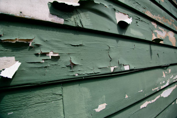 Best Steel Siding Installation  in Santa Maria, CA