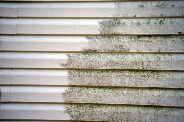 Best Composite Siding  in Santa Maria, CA